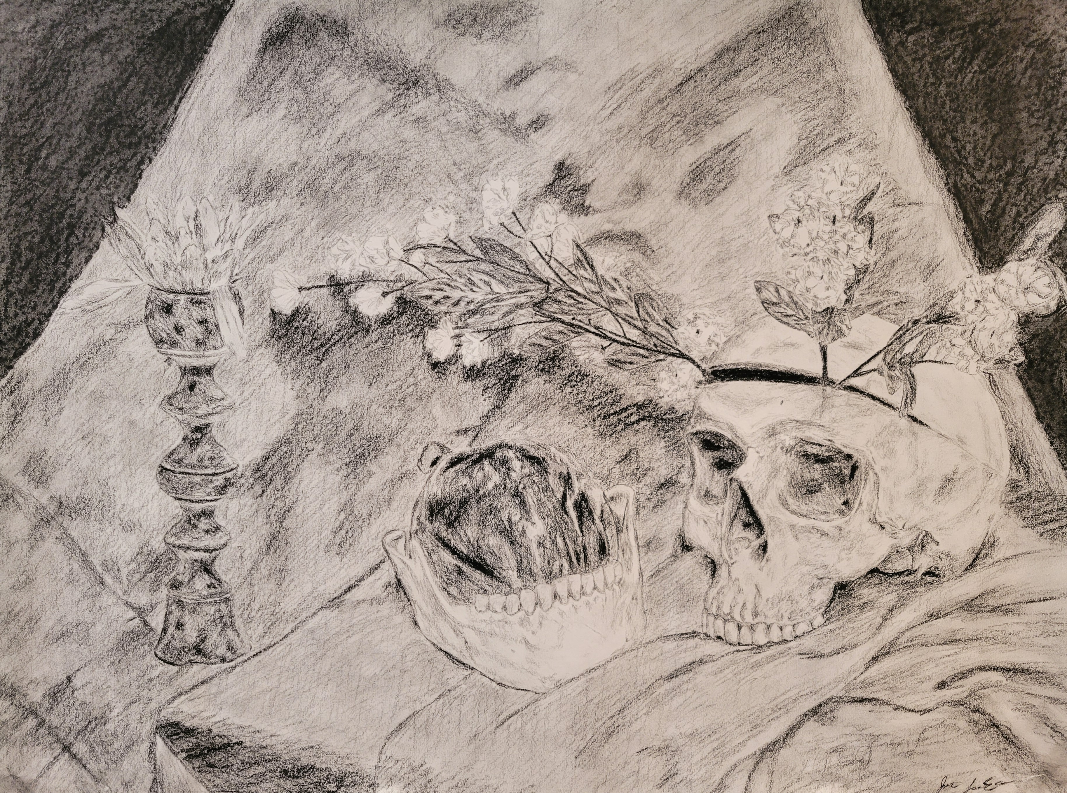 a charcoal still life of a skull, bell pepper, candlestick, and flowers