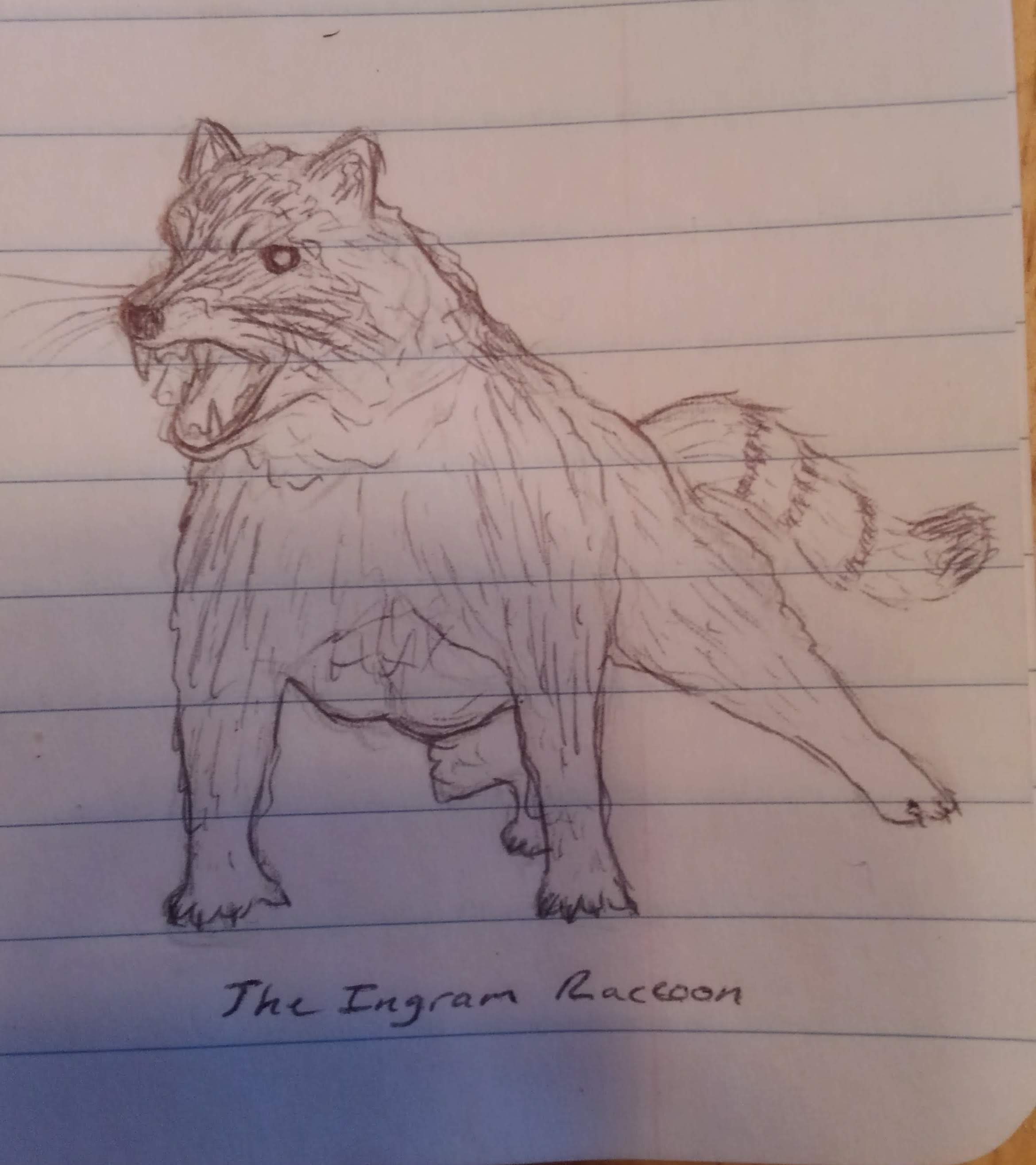a pen and paper drawing of a very strong raccoon