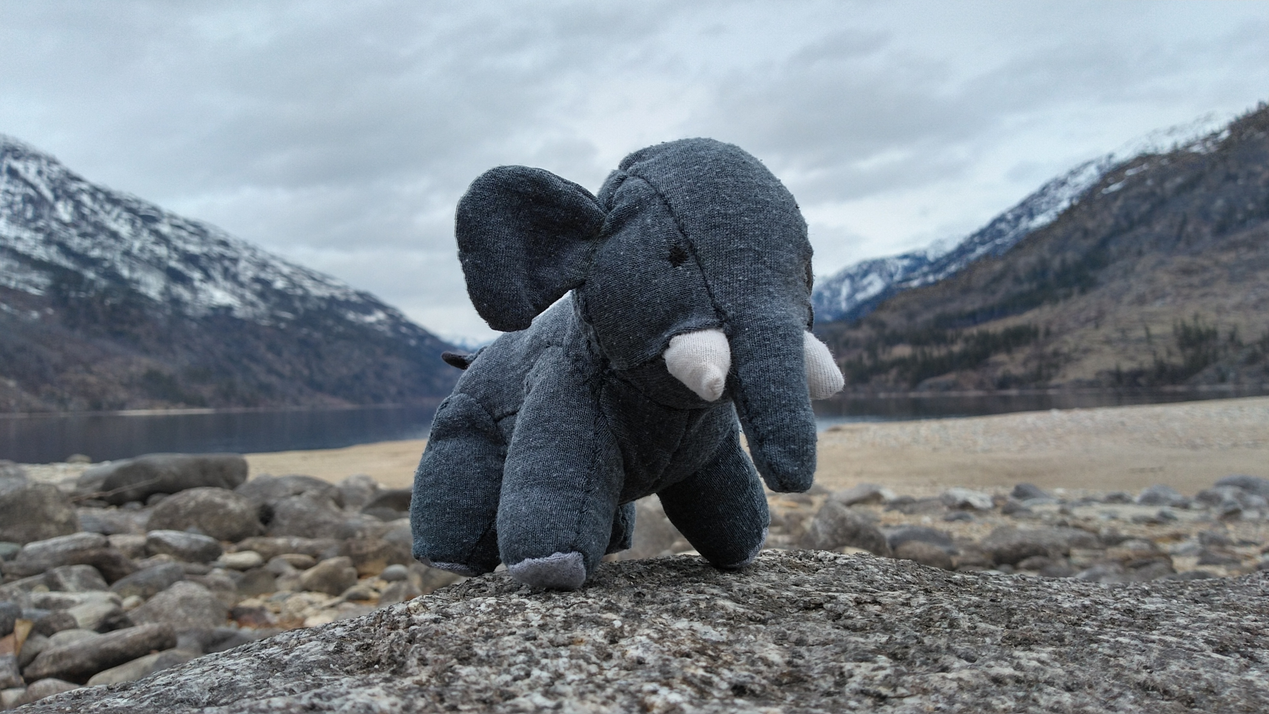 a stuffed animal elephant, standing against the backdrop of a mountain lake